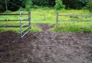 Muddy gate