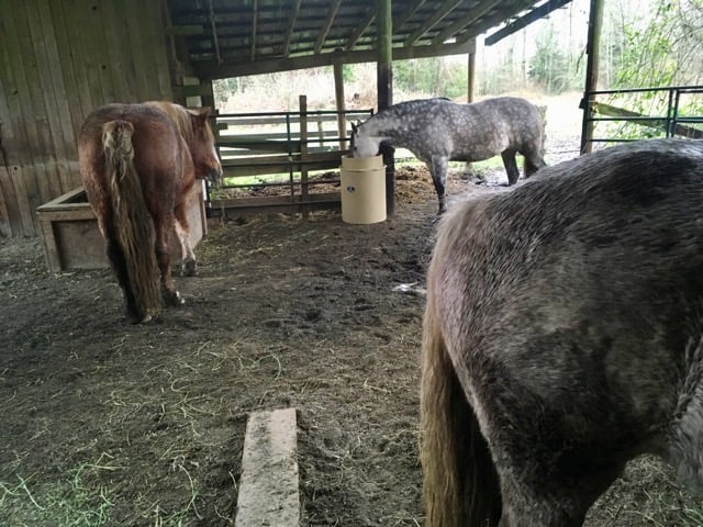 The Porta-Grazer next to the Slow Grazer box