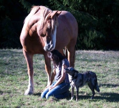 Audelina, me & Tiah (c) Linda Bickerton-Ross