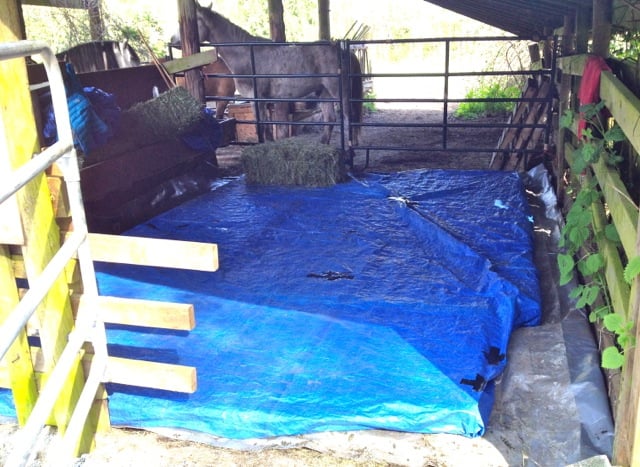 blue-tarp