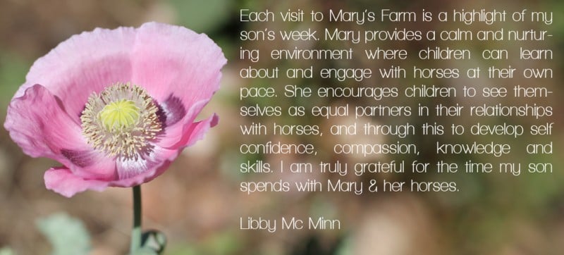 mary-farm