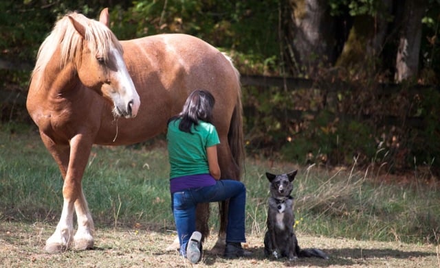 Aude trying to reach me to exchange massage - but I'm just too far away! (c) Linda Bickerton-Ross