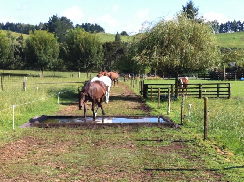 How To Plan The Best Horse Fence For Your Property | Horse Journals