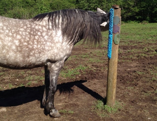 scratching-post-acupressure