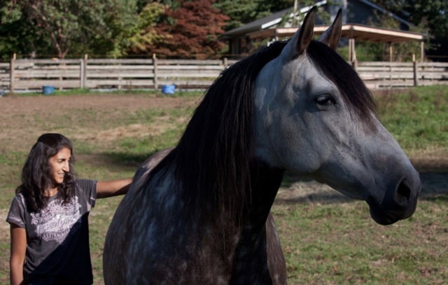 Zorra and me (c) LInda Bickerton-Ross