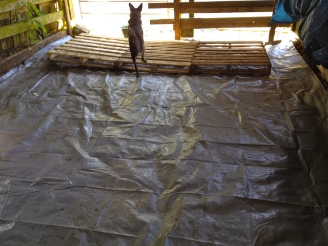 base-tarp