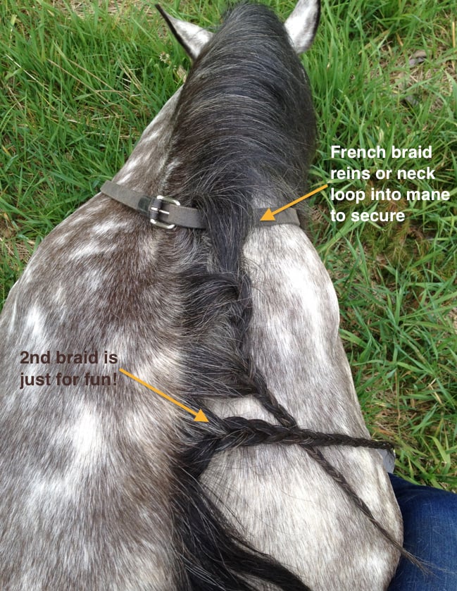 braid-reins-into-mane