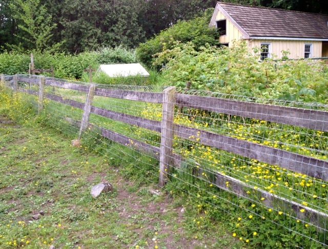 mesh-lawn-fence