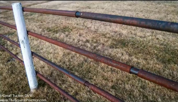 Pipe Fencing (c) Geoff Tucker DVM