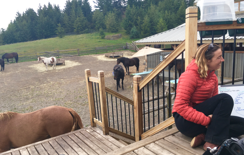 Elsa Sinclair teaching at Equinisity. This enclosed paddock area is where the horses do healings and snooze together