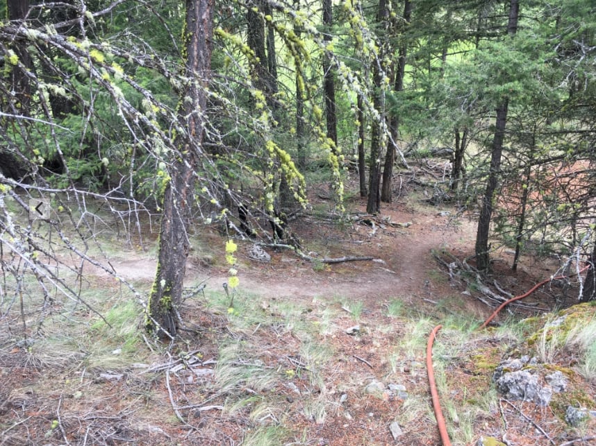 Trail to the outhouse at Equinisity