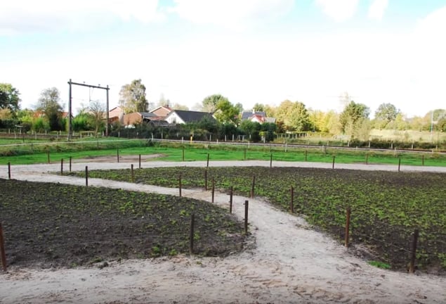 Example of a Paddock Paradise in the Netherlands