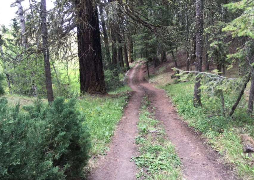 Part of the trail from tent-cabin to cookhouse at Equinisity