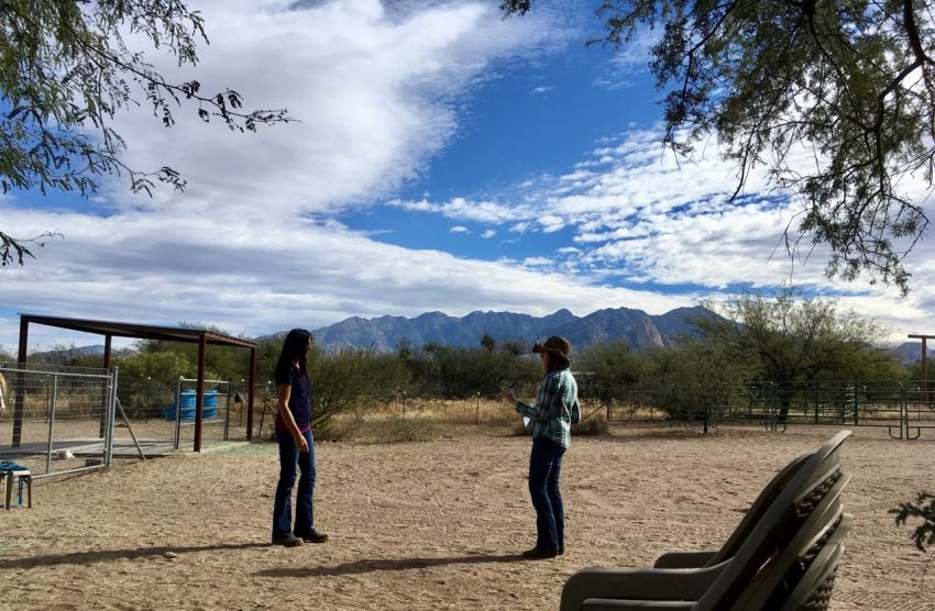 Elyssa leading me through a body awareness scan before I enter the pasture