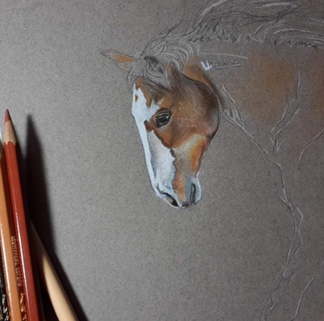 Denise Milledge at work on an equine portrait