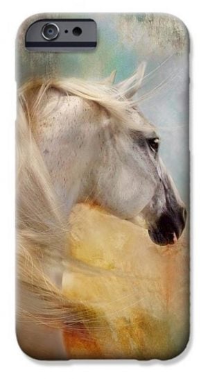 iPhone Case - Dorota Kudyba